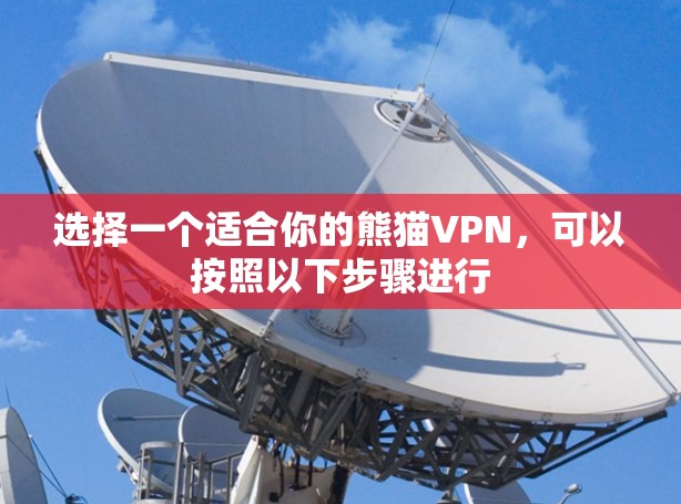 选择一个适合你的熊猫VPN，可以按照以下步骤进行