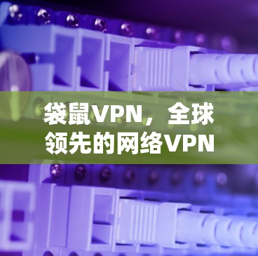 袋鼠VPN，全球领先的网络VPN服务，安全可靠，轻松连接