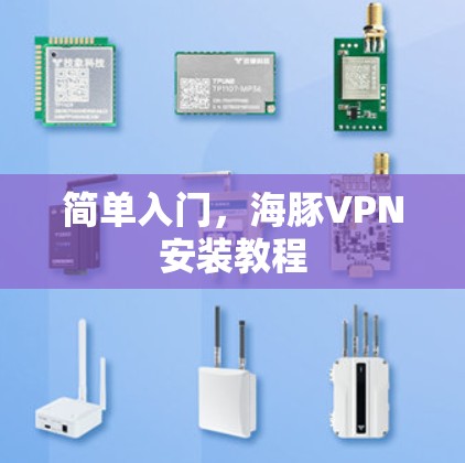 简单入门,海豚VPN安装教程