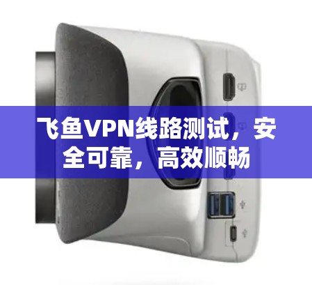 飞鱼VPN线路测试，安全可靠，高效顺畅