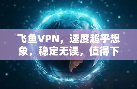 飞鱼VPN，速度超乎想象，稳定无误，值得下载！