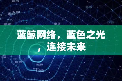 蓝鲸网络，蓝色之光，连接未来