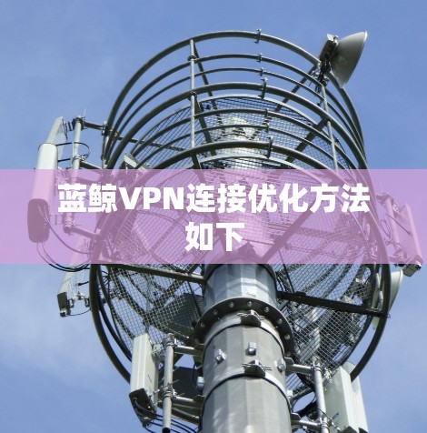 蓝鲸VPN连接优化方法如下