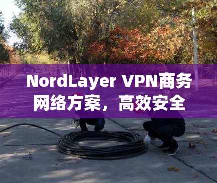 NordLayer VPN商务网络方案，高效安全的商务网络解决方案