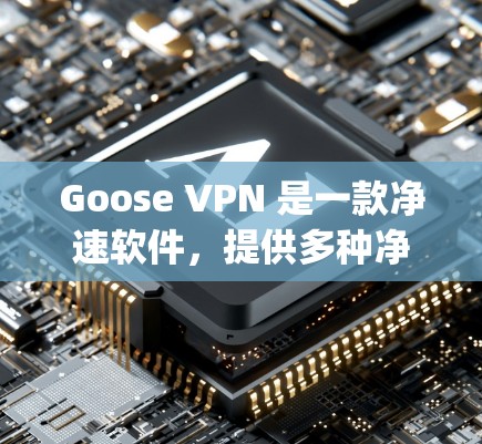 Goose VPN 是一款净速软件,提供多种净速服务,包括在线VPN和移动应用。它基于 OpenVPN 核心协议,旨在提供安全、可靠和快速的网络连接。以下是对 Goose VPN 的体验分享
