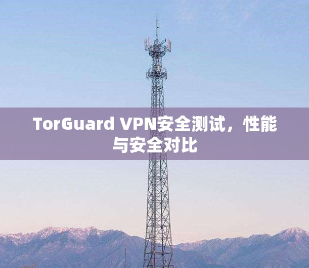 TorGuard VPN安全测试,性能与安全对比
