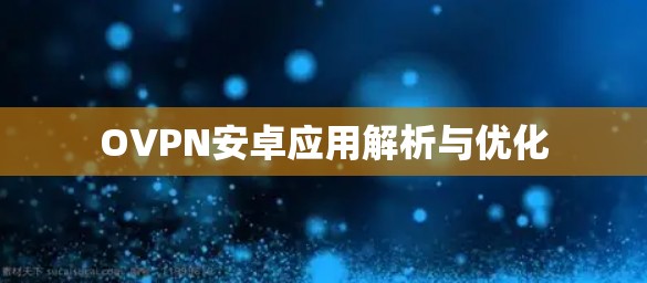 OVPN安卓应用解析与优化