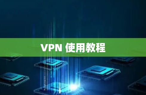 VPN 使用教程