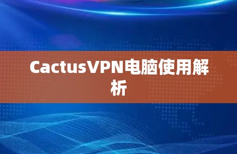 CactusVPN电脑使用解析 CactusVPN电脑使用解析