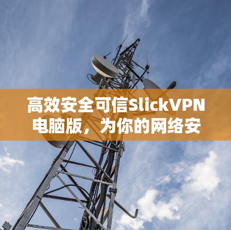 高效安全可信SlickVPN电脑版,为你的网络安全保驾护航