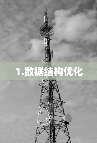 1.数据结构优化
