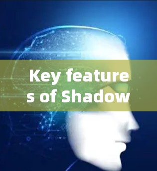 Key features of Shadowrocket may include: