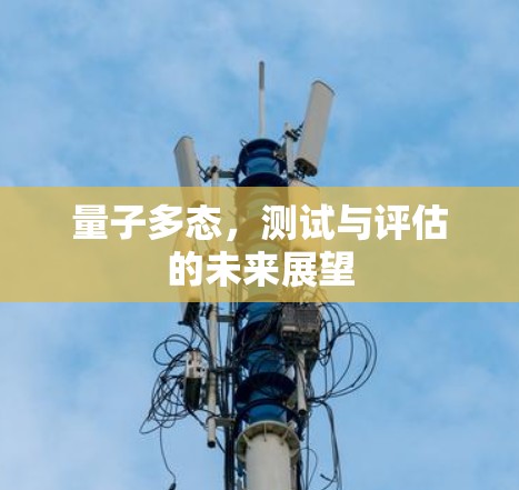 量子多态,测试与评估的未来展望