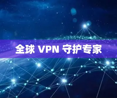 全球 VPN 守护专家