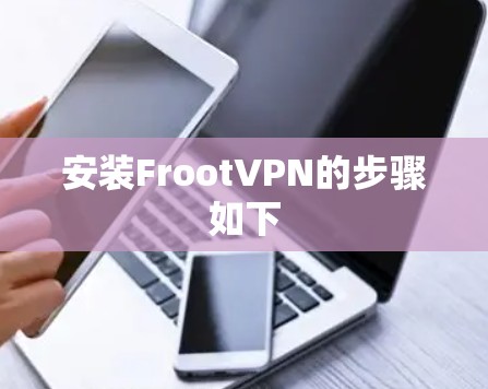 安装FrootVPN的步骤如下
