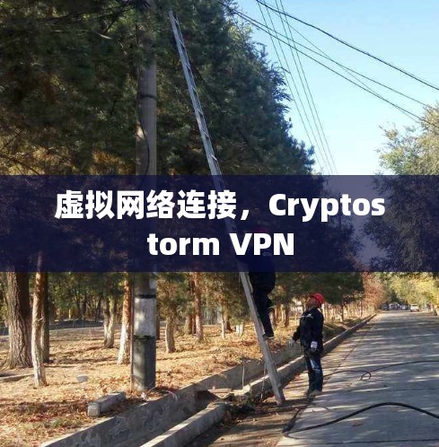 虚拟网络连接,Cryptostorm VPN