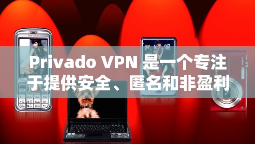 Privado VPN 是一个专注于提供安全、匿名和非盈利的VPN服务。它通过双向VPN技术提供高安全性和匿名性。以下是一个使用Privado VPN 的教程