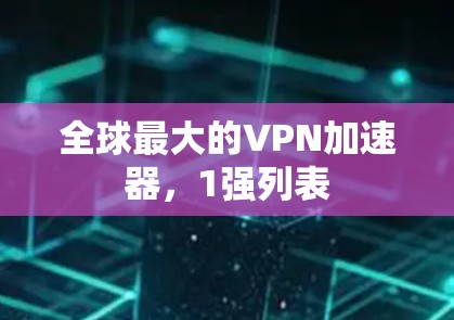 全球最大的VPN加速器,1强列表