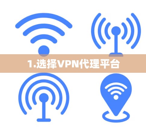 1.选择VPN代理平台 1.选择VPN代理平台