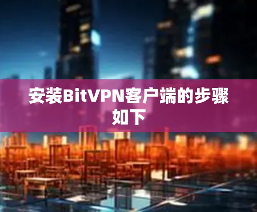 安装BitVPN客户端的步骤如下 安装BitVPN客户端的步骤如下
