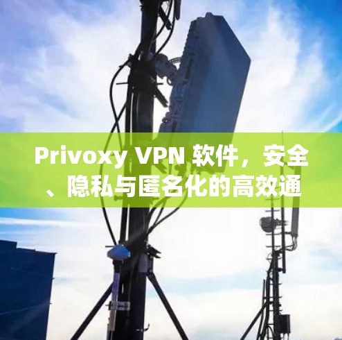 Privoxy VPN 软件,安全、隐私与匿名化的高效通信解决方案