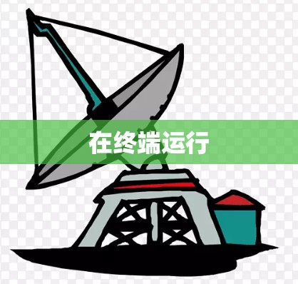 在终端运行