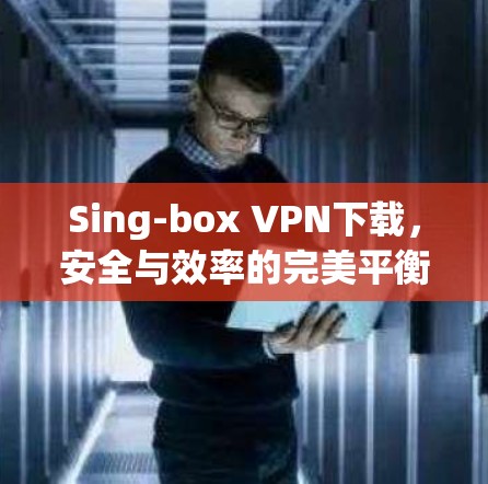 Sing-box VPN下载,安全与效率的完美平衡 Sing-box VPN下载,安全与效率的完美平衡