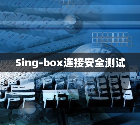 Sing-box连接安全测试 Sing-box连接安全测试