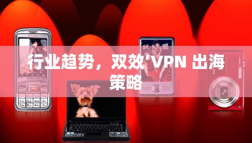 行业趋势,双效’VPN 出海策略 行业趋势,双效’VPN 出海策略
