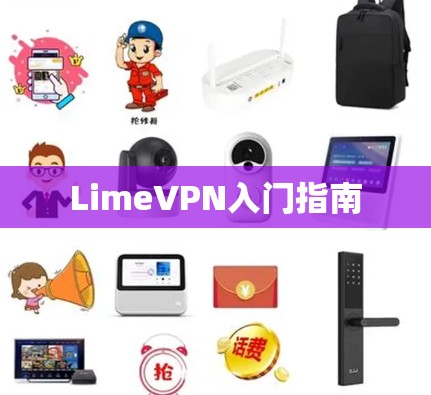 LimeVPN入门指南