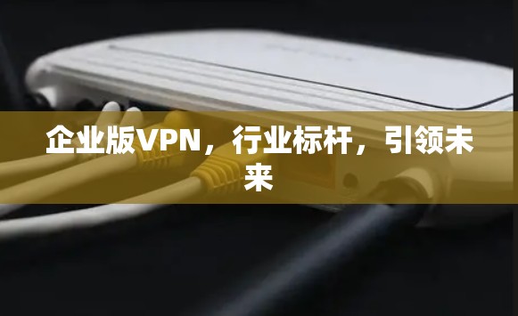 企业版VPN，行业标杆，引领未来