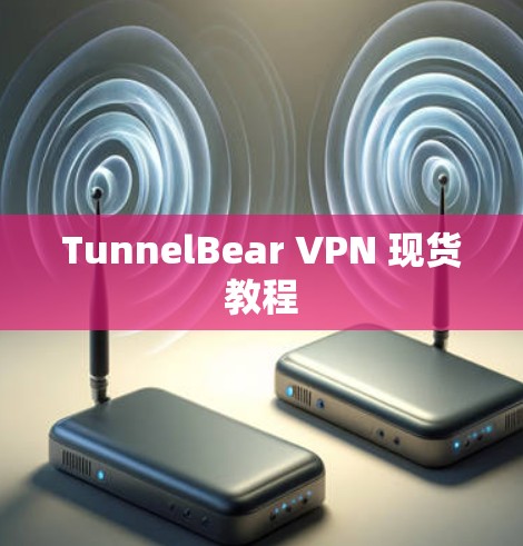 TunnelBear VPN 现货教程