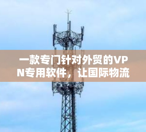 一款专门针对外贸的VPN专用软件,让国际物流更安全高效