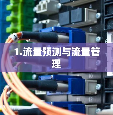 1.流量预测与流量管理