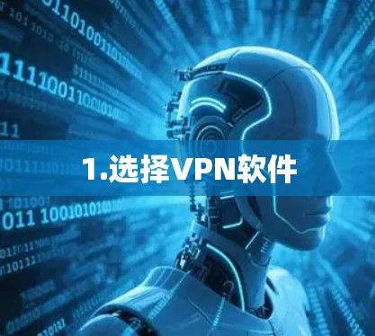 1.选择VPN软件