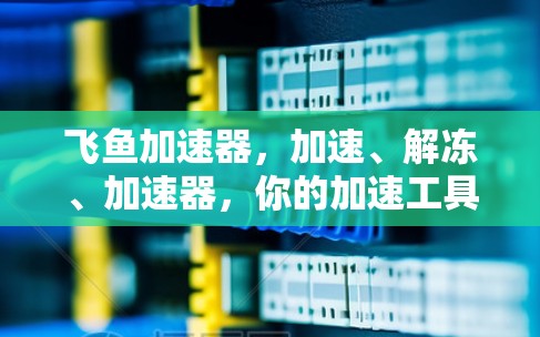 飞鱼加速器,加速、解冻、加速器,你的加速工具 飞鱼加速器,加速、解冻、加速器,你的加速工具