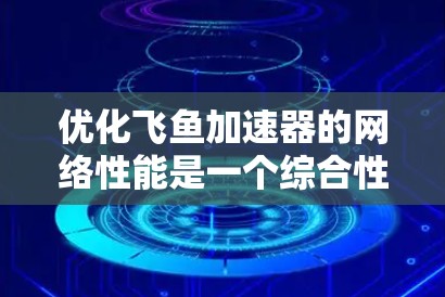 优化飞鱼加速器的网络性能是一个综合性的过程，涉及多个方面，以下是对该过程的详细总结和优化步骤