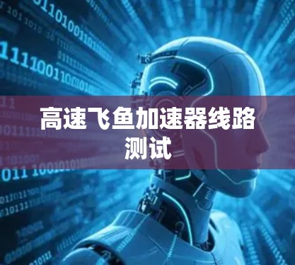 高速飞鱼加速器线路测试