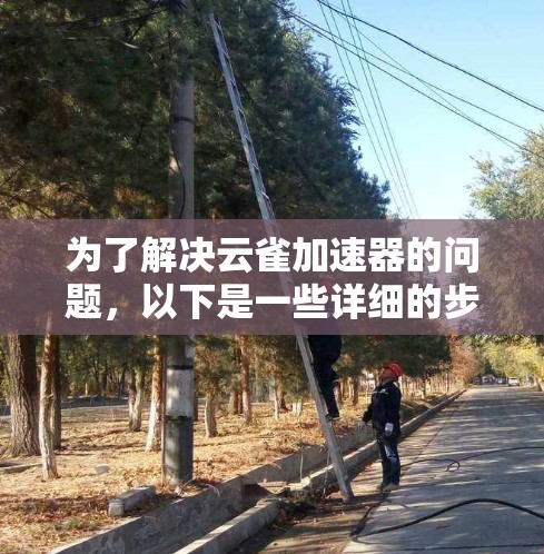 为了解决云雀加速器的问题，以下是一些详细的步骤和建议