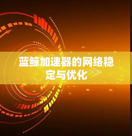 蓝鲸加速器的网络稳定与优化
